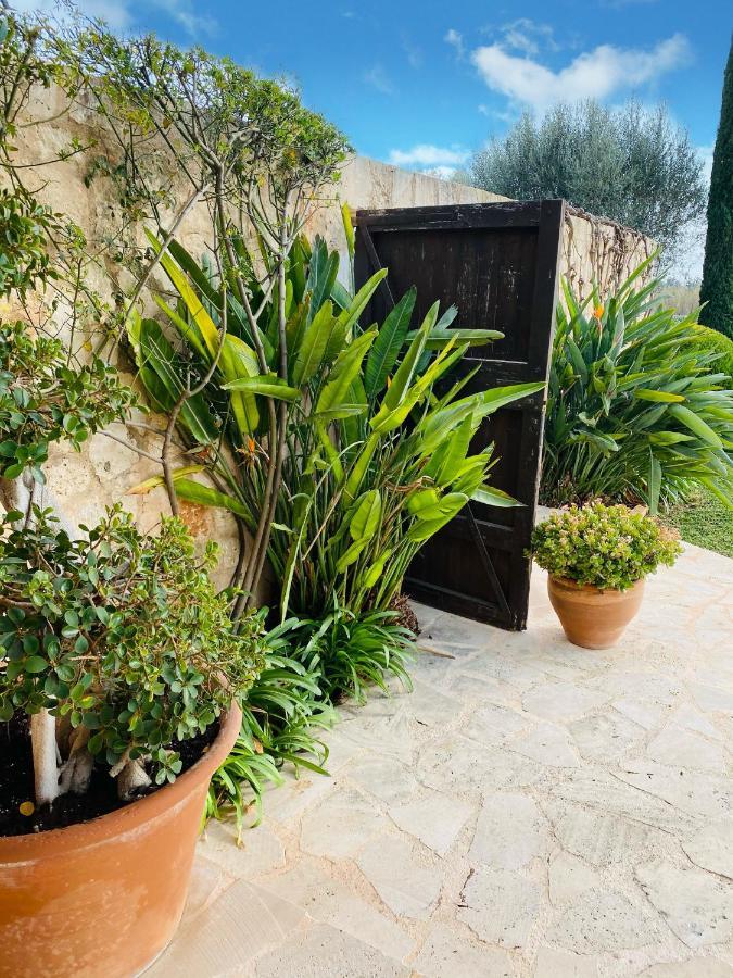 Moderne Finca Can Vicento - Heizung - Pizzaofen Porto Cristo Exteriör bild